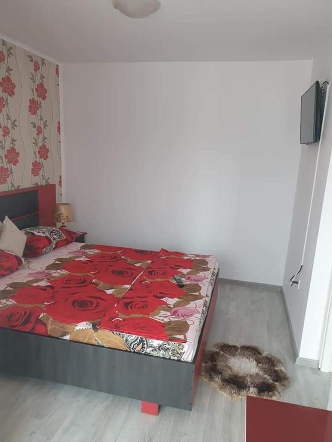 Apartament Alina Saturn Zewnętrze zdjęcie